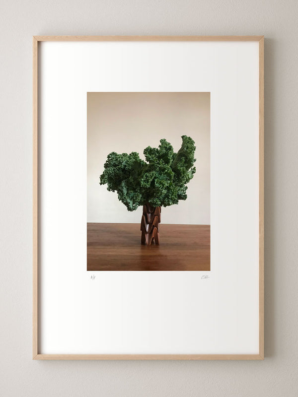 #artprints #photographyprints